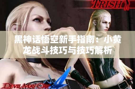黑神话悟空新手指南：小黄龙战斗技巧与技巧解析