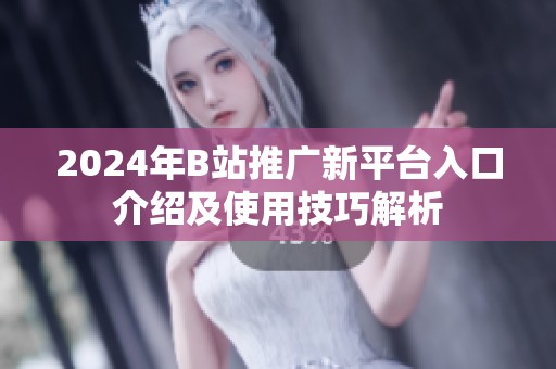 2024年B站推广新平台入口介绍及使用技巧解析