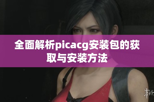 全面解析picacg安装包的获取与安装方法